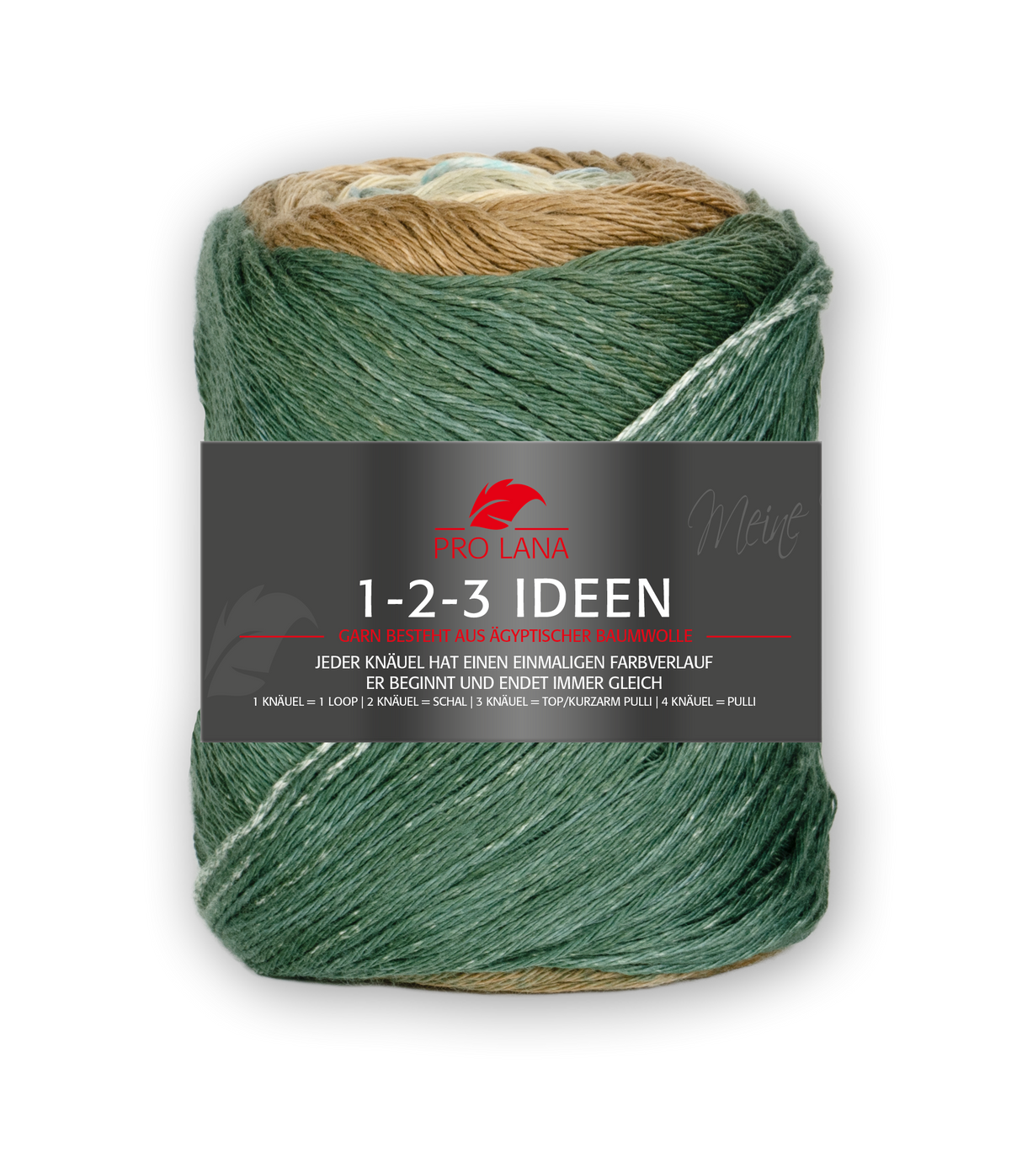 Pro Lana 1-2-3 Ideen 278441.0017 GRUEN/BEIGE 100 gr