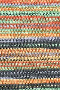Lang Merino 120 Color 47.0008 MINT/MAIS/LILA/ORANGE 100 gr