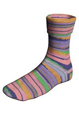 Lang Super Soxx Color 4-Fach  901.0537 ROST/LILA/GRUEN/ORANGE 100 gr