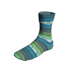 Lang Super Soxx Color 4-Fach  901.0541