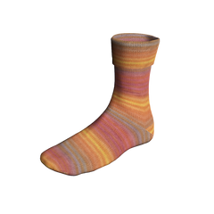 Lang Super Soxx Color  6-Fach 910.0530