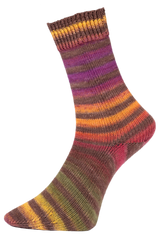 Woolly Hugs Paint Socks  0208