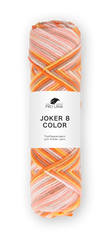 Pro Lana Joker 8 Color 540 TOPFLAPPENGARN