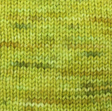 Knit Pro Symfonie Terra  273502.VR2032