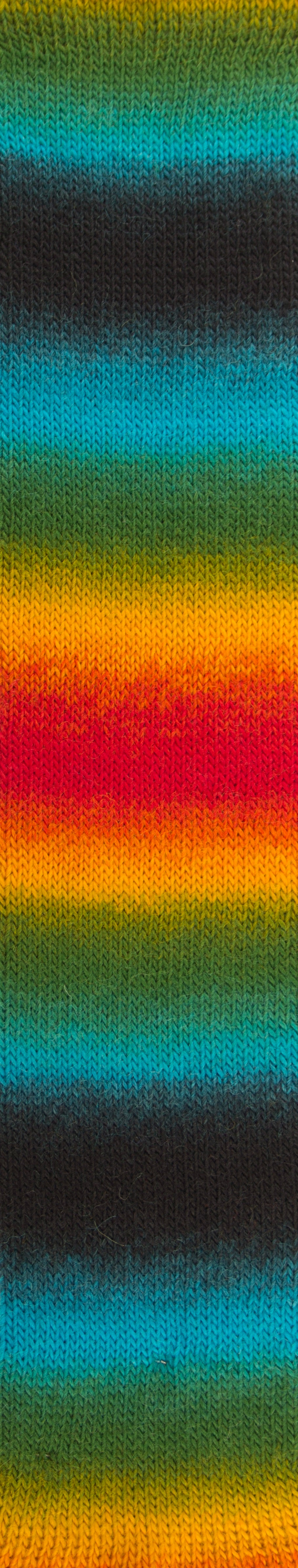 Woolly Hugs Year Socks 0017