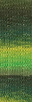 Lang Merino 120 Dègradè  37.0002