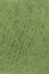 Lang Suri Alpaca  1082.0017