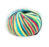 Pro Lana Wash Filz Colori 100 / 703