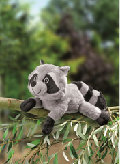 Waschbär Luki  39 cm