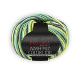 Pro Lana Wash Filz Colori 100 / 702