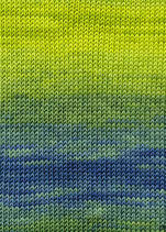 Lang Merino+ Color 926.0044