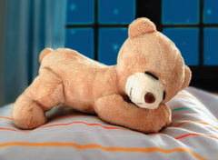 Bär Max  26 cm