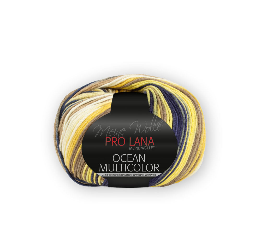 Pro Lana Ocean MultiColor  0081