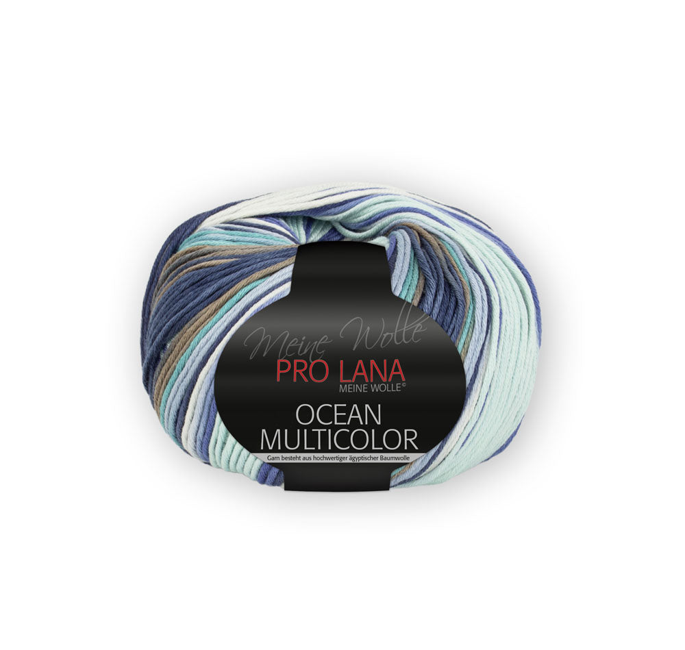 Pro Lana Ocean MultiColor  0085
